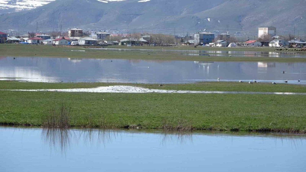 Ardahan’da Kura Nehri’nin Debisi Yükseldi