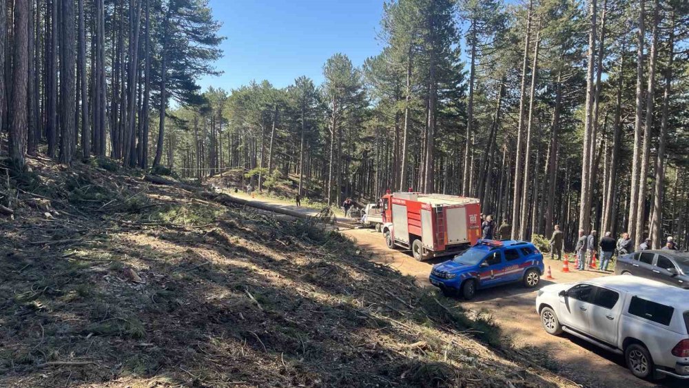 Uludağ’da İnanılmaz Olay: Kesilen Ağaç Kamyonetin Üzerine Devrildi