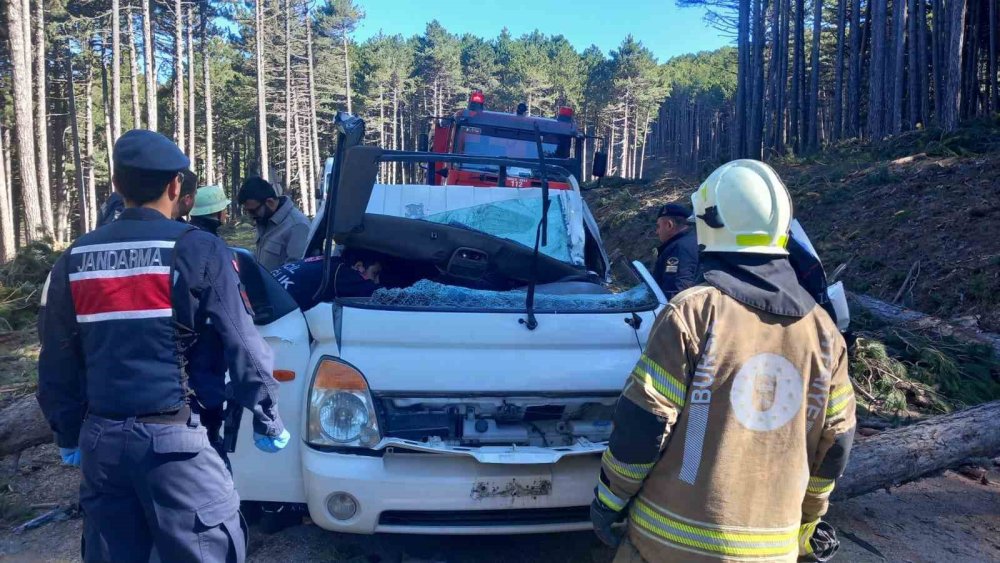 Uludağ’da İnanılmaz Olay: Kesilen Ağaç Kamyonetin Üzerine Devrildi