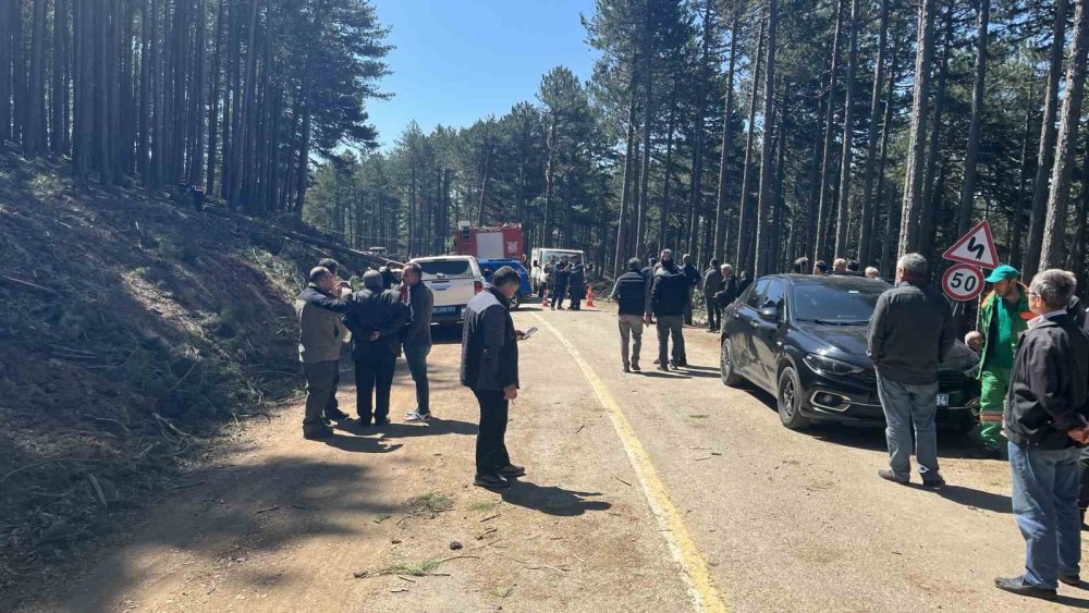 Uludağ’da İnanılmaz Olay: Kesilen Ağaç Kamyonetin Üzerine Devrildi