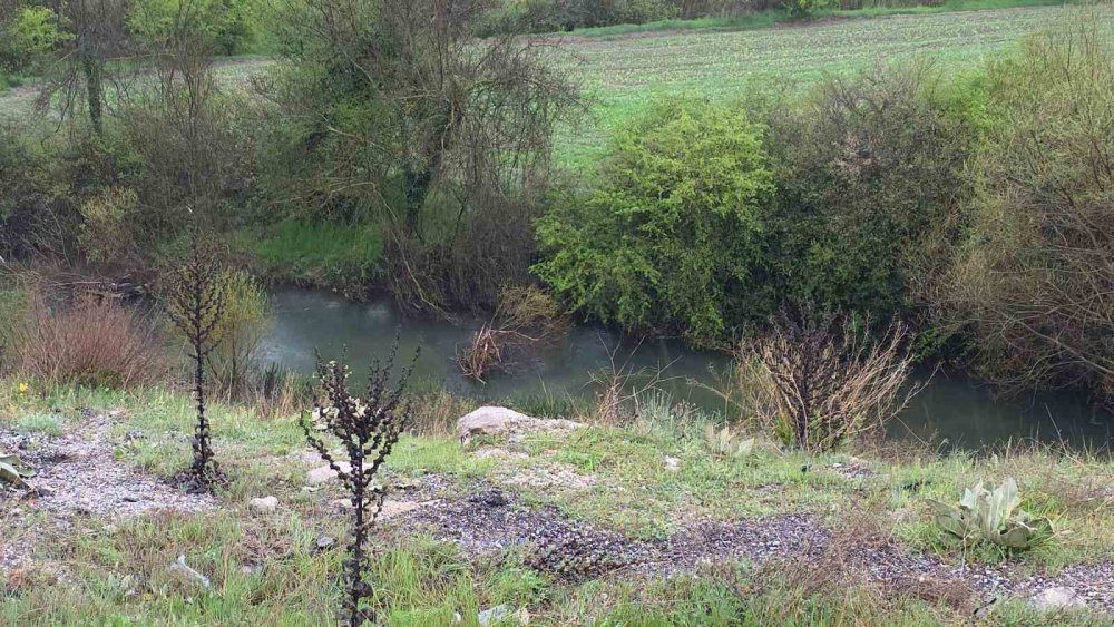 Kütahya’da Otomobil Uçuruma Yuvarlandı: 1 Ölü, 1 Ağır Yaralı