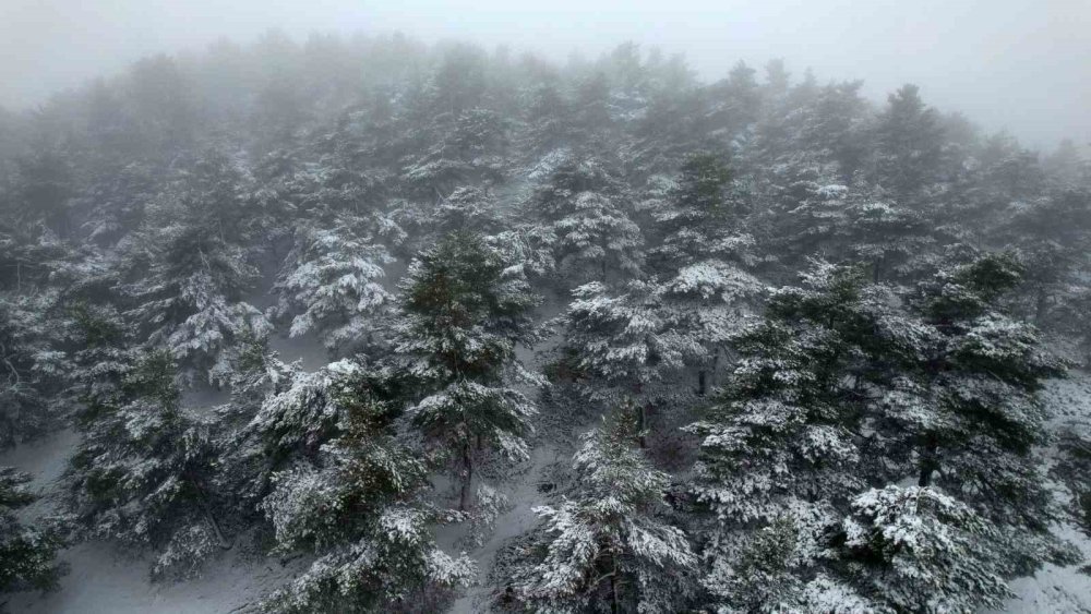 Tokat’ta Bahar Ortasında Yağan Kar Mest Etti