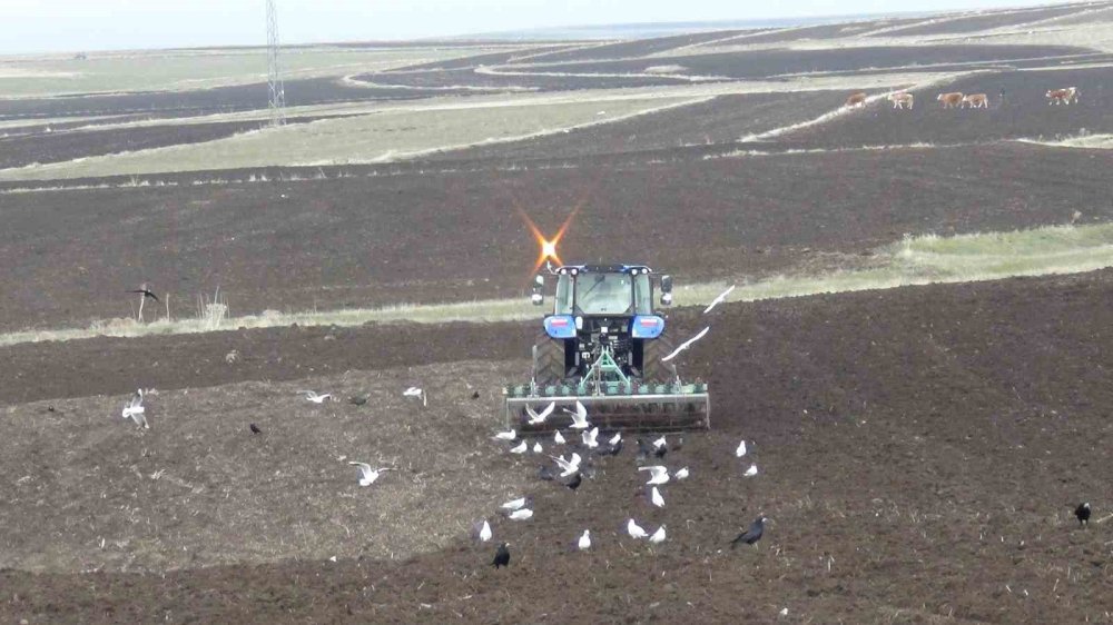 Kars’ta Kış Uzadı, Ekim Gecikti.. Çiftçi Zamana Karşı Yarışıyor!