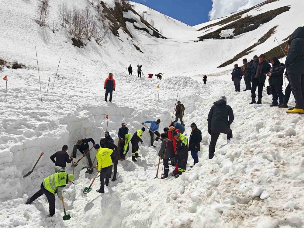 122 Gün Sonra.. Artvin’de Çığ Altında Kalan Çoban İçin Arama Çalışmaları Sürüyor!