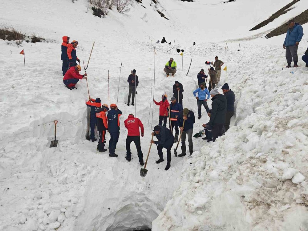 122 Gün Sonra.. Artvin’de Çığ Altında Kalan Çoban İçin Arama Çalışmaları Sürüyor!