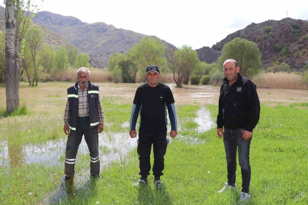 HES Gölgesinde Bir Mahalle.. Doğa Yok Oldu, Emekler Sulara Gömüldü!