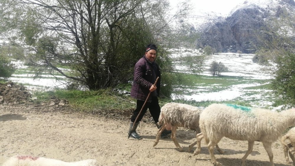 Isparta’da Yaylada Mahsur Kalan Çobanlar 30 Saat Sonra Kurtarıldı