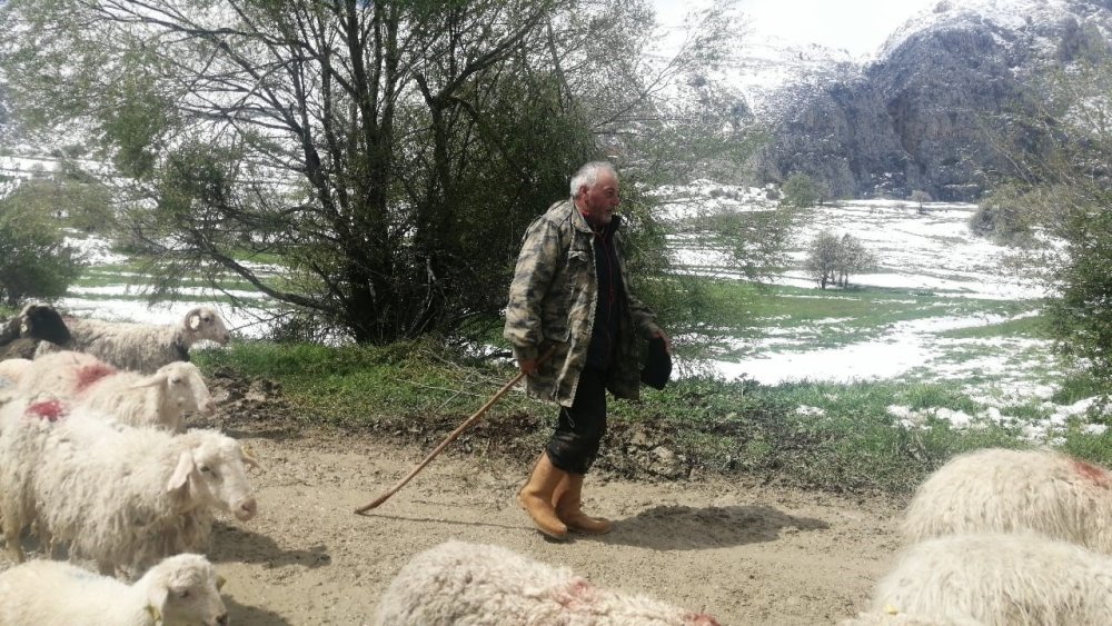 Isparta’da Yaylada Mahsur Kalan Çobanlar 30 Saat Sonra Kurtarıldı