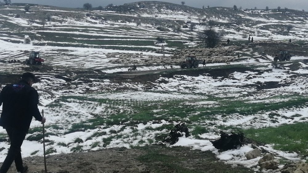 Isparta’da Yaylada Mahsur Kalan Çobanlar 30 Saat Sonra Kurtarıldı