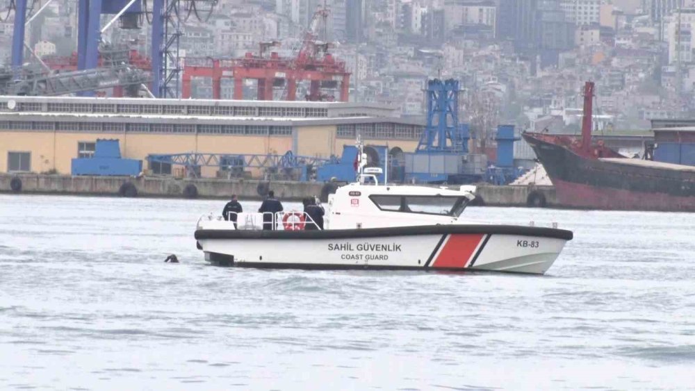 Kadıköy'de Vapurda Kaybolan Kadını Arama Çalışmaları Devam Ediyor