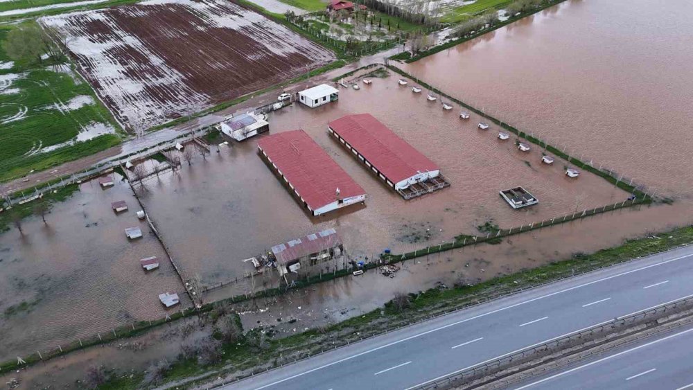 Sivas’ta Şiddetli Yağışlar.. Kangal Çiftliği Sular Altında Kaldı!