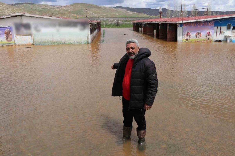 Sivas’ta Şiddetli Yağışlar.. Kangal Çiftliği Sular Altında Kaldı!