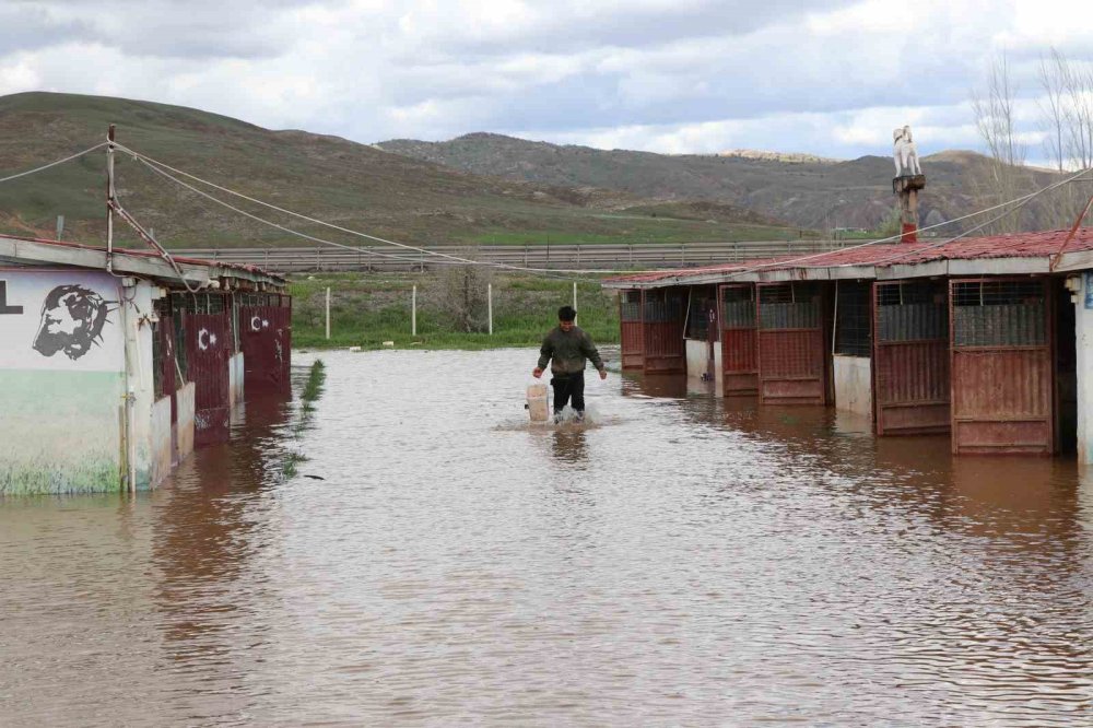 Sivas’ta Şiddetli Yağışlar.. Kangal Çiftliği Sular Altında Kaldı!