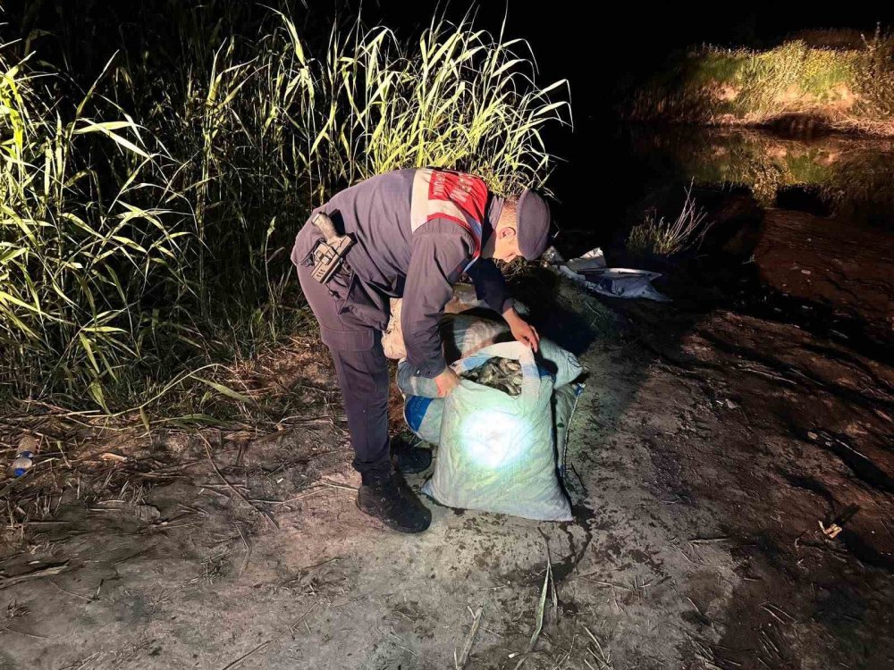 Van’da Kaçak Avlanan 800 Kilo Balık Ele Geçirildi