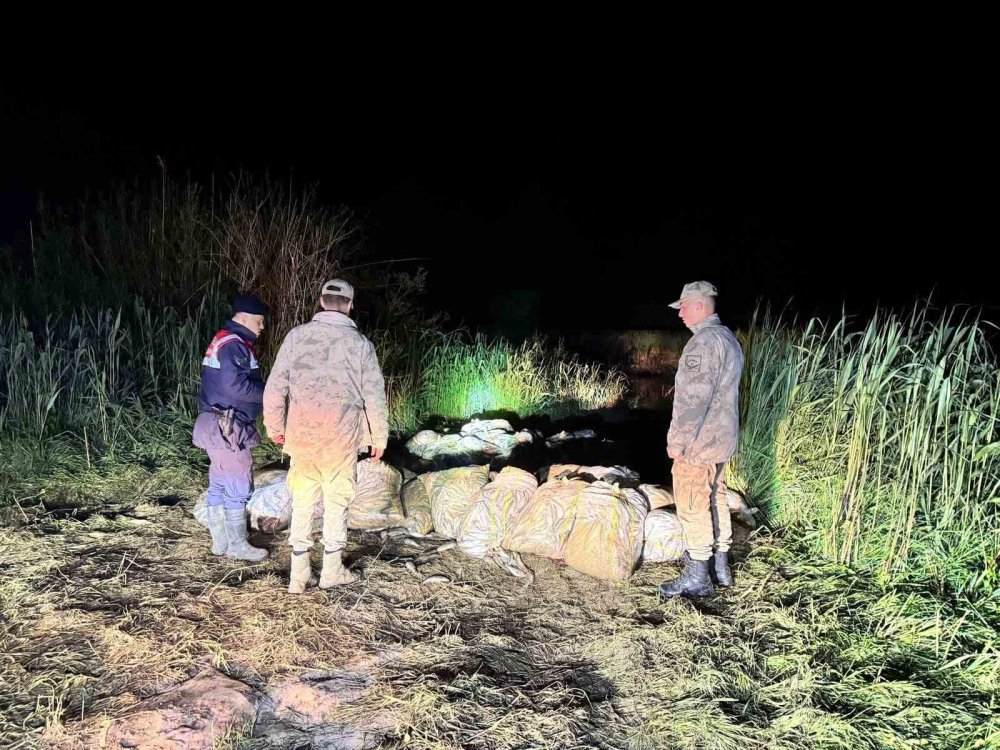 Van’da Kaçak Avlanan 800 Kilo Balık Ele Geçirildi