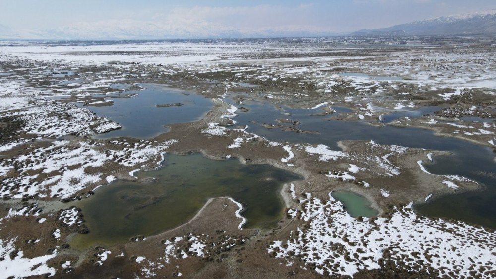 Erzincan’daki Ekşisu’da Doğa Harikası.. 5 Ayrı Su Kaynağı Karışmadan Akıyor!