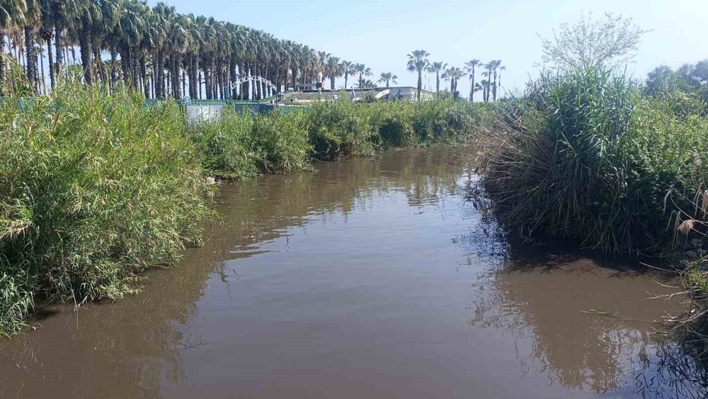 Dereden Gelen Sular Denizi Kahverengiye Bürüdü, Turistler Sahili Boşalttı