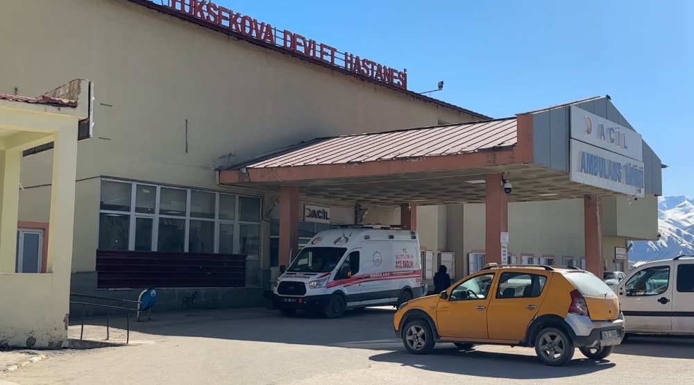Doski Vadisi’nde Patlama.. Yaylada Koyun Otlatan Çoban Hastanelik Oldu!