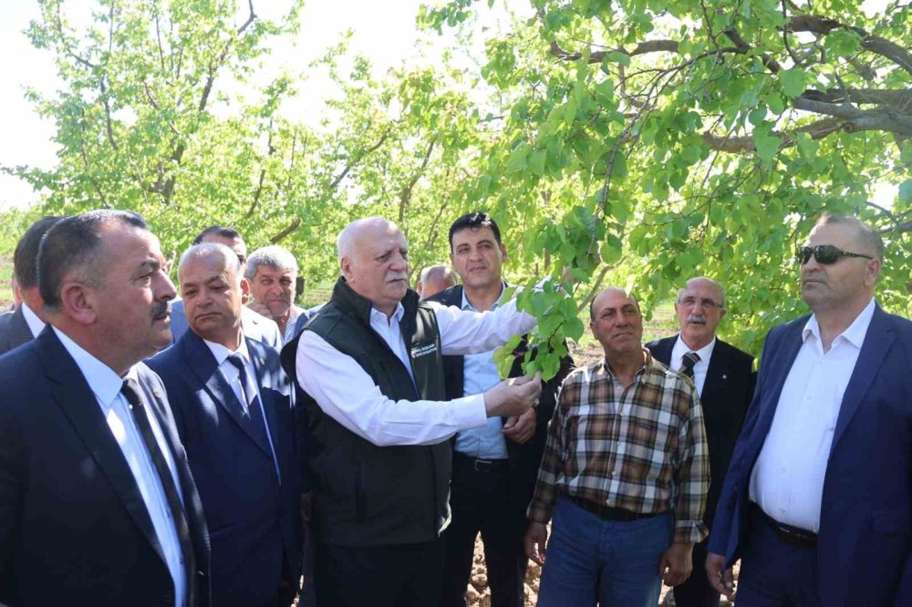 TZOB Başkanı Bayraktar’tan Iğdır İddiası.. Zirai Don Tarımda Büyük Kayıp Yarattı!