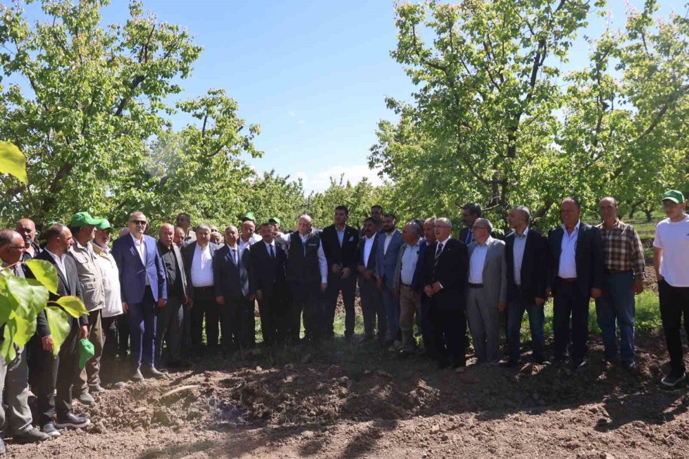 TZOB Başkanı Bayraktar’tan Iğdır İddiası.. Zirai Don Tarımda Büyük Kayıp Yarattı!