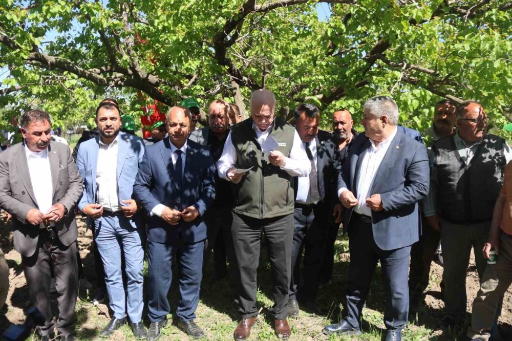 TZOB Başkanı Bayraktar’tan Iğdır İddiası.. Zirai Don Tarımda Büyük Kayıp Yarattı!