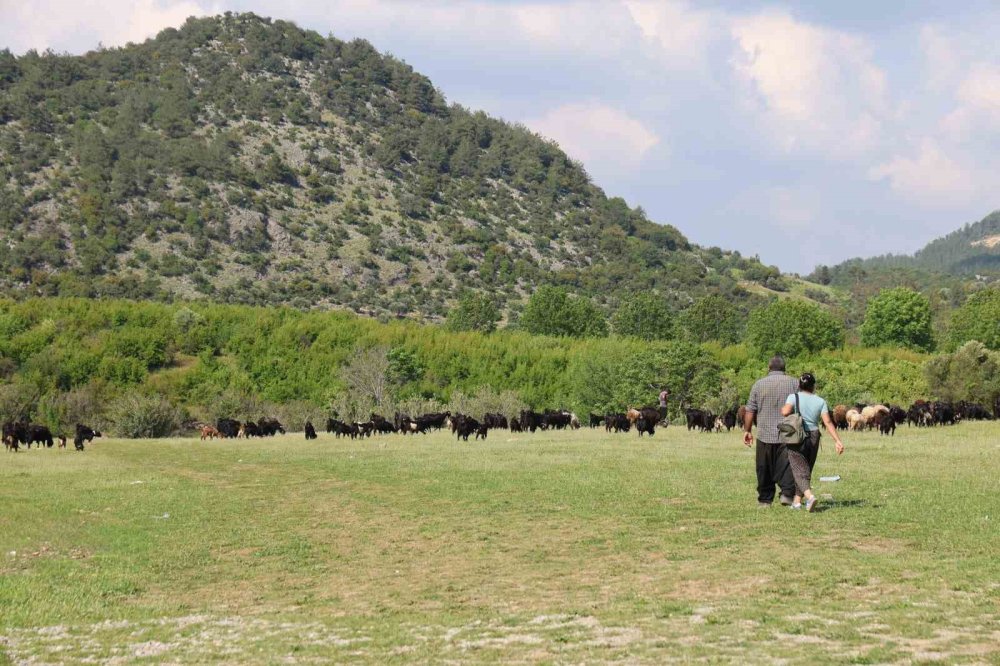 Su Seviyesi Düşen Kozan Barajı: Eski İhtişamına Kavuştu
