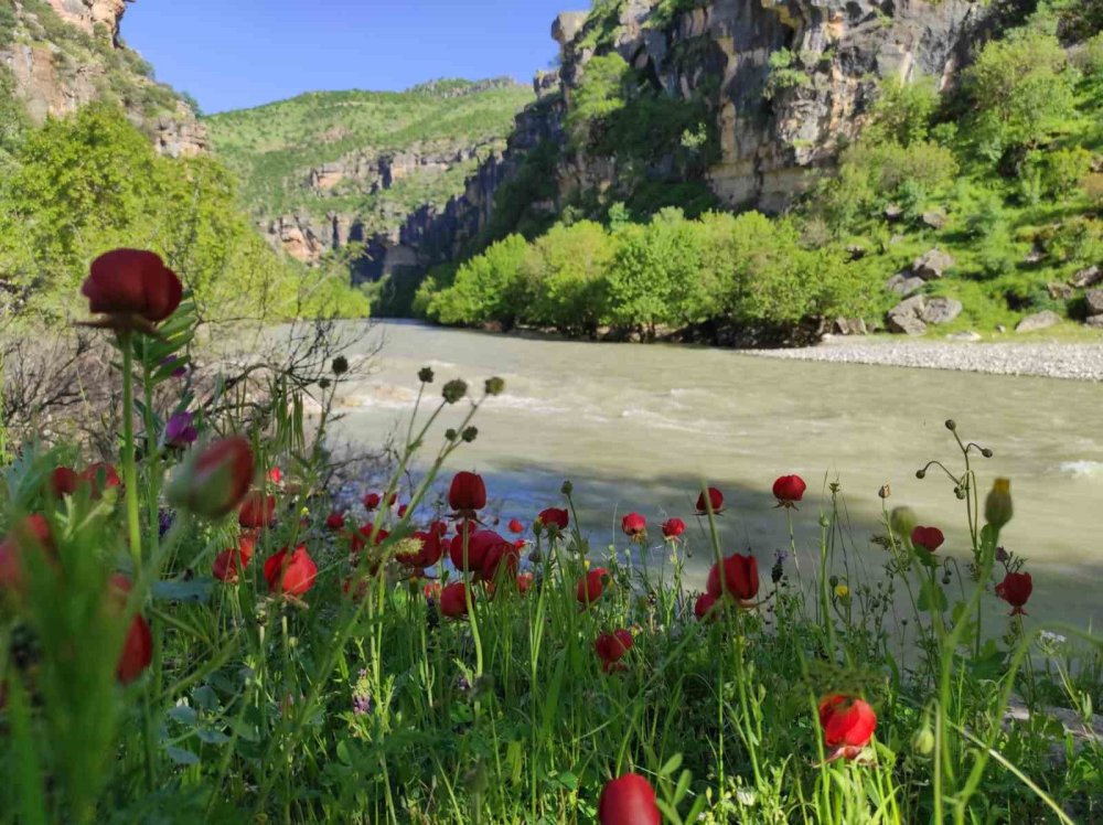 Zore Kanyonu ve Şelalesi Görenleri Hayran Bırakıyor