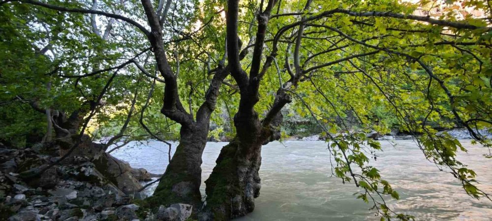Zore Kanyonu ve Şelalesi Görenleri Hayran Bırakıyor