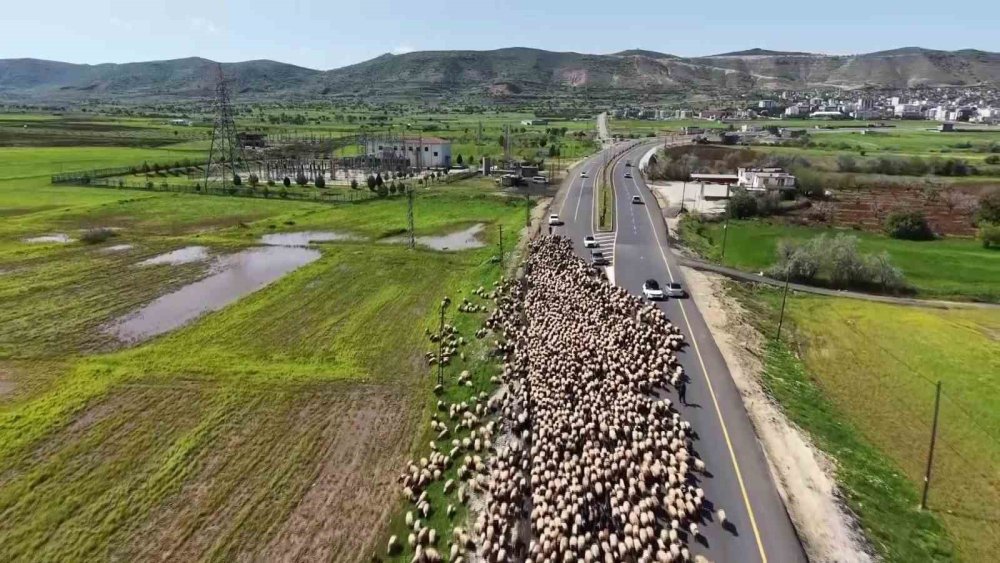 Göçerlerin Zorlu Yolculuğu Dronla Görüntülendi
