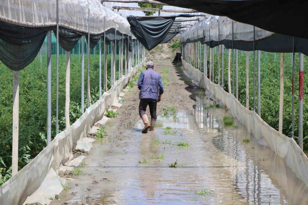 Amasya’da Yeşilırmak Nehri Taştı, Tarım Arazileri Sular Altında Kaldı