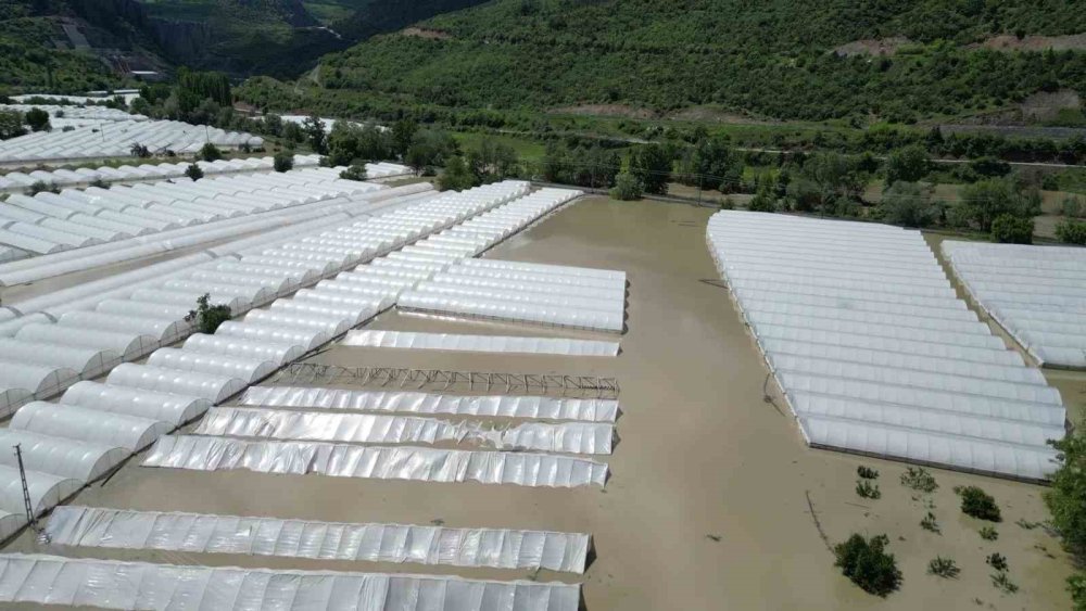 Amasya’da Yeşilırmak Nehri Taştı, Tarım Arazileri Sular Altında Kaldı