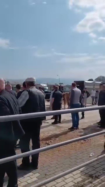 Bursa İnegöl’de Kurban Pazarı Karıştı.. Jandarma Havaya Ateş Açtı!