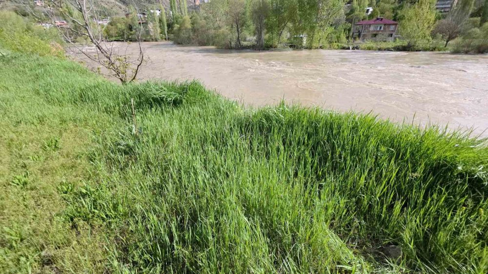 Çoruh Vadisi’nde Karların Erimesiyle Su Seviyesi Yükseldi, Evler Boşaltılıyor
