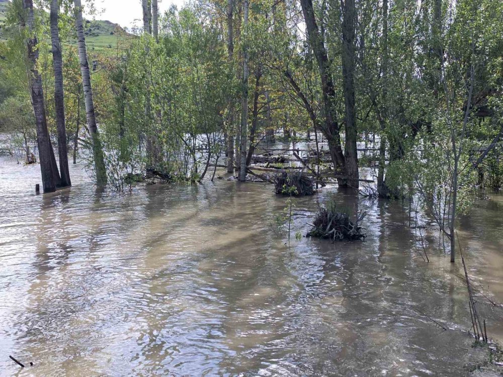 Çoruh Vadisi’nde Karların Erimesiyle Su Seviyesi Yükseldi, Evler Boşaltılıyor