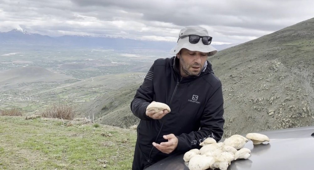 Erzincan’da Dağların Şifalı Hazinesi.. Çaşır Mantarı 2 Bin Liradan Satılıyor!