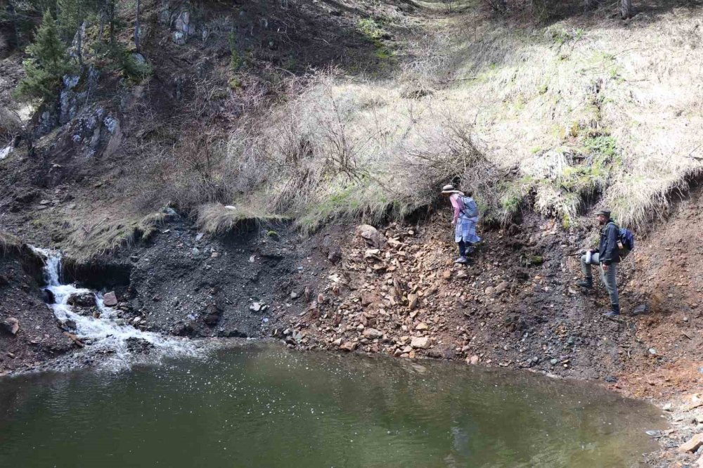 Oltu Yürüyüş Grubu'ndan Doğanın Kalbinde 22 Kilometrelik Parkur