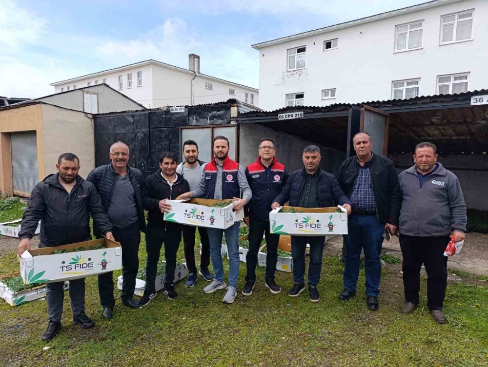 Kars’ta TAKE Projesiyle Sebze Üretimine Destek.. Binlerce Fide Toprakla Buluştu!