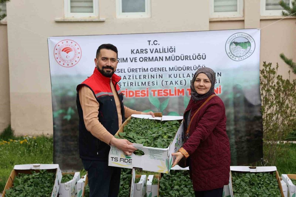 Kars’ta TAKE Projesiyle Sebze Üretimine Destek.. Binlerce Fide Toprakla Buluştu!