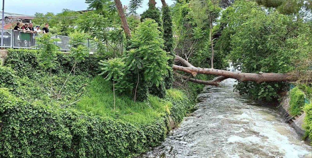Manisa’da Barajlar Doldu, Kapaklar Açıldı
