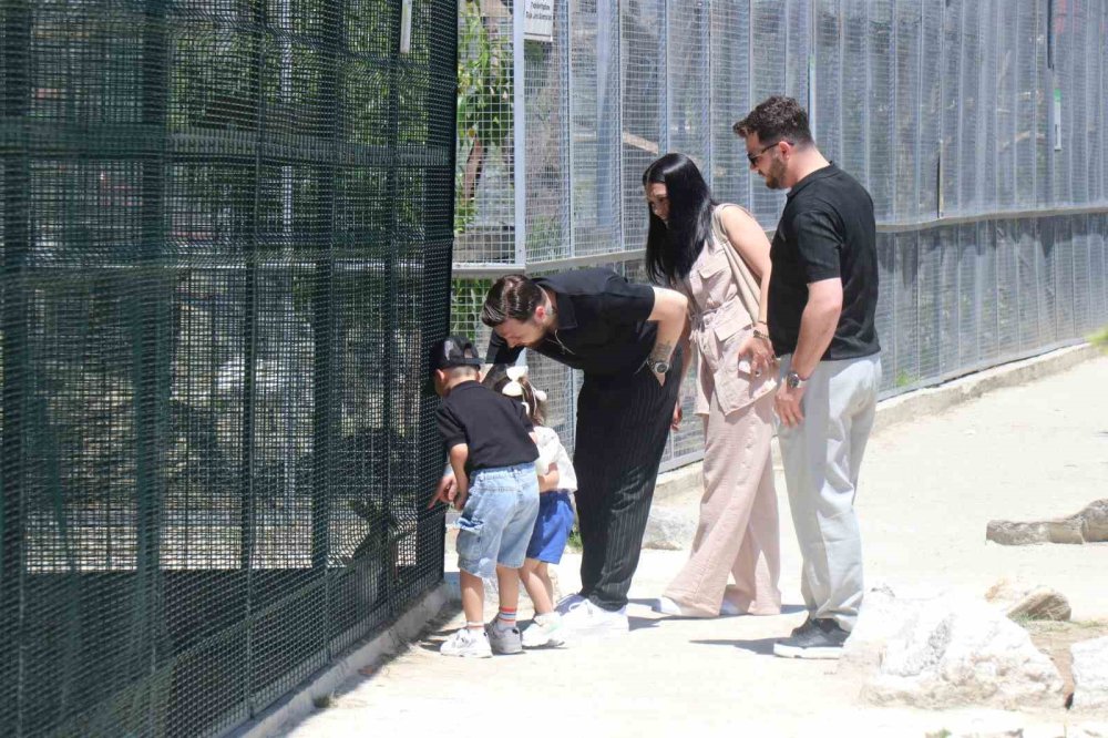 Sakarya’da Bayramın İlk Gününde Tabiat Parklarına Akın Ettiler