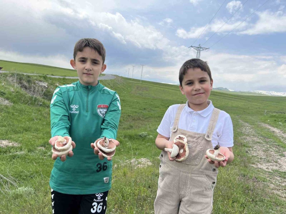 Arpaçay’da Mantar Bereketi.. Çocuklar Doğada Hem Eğlendi Hem Üretime Katıldı!