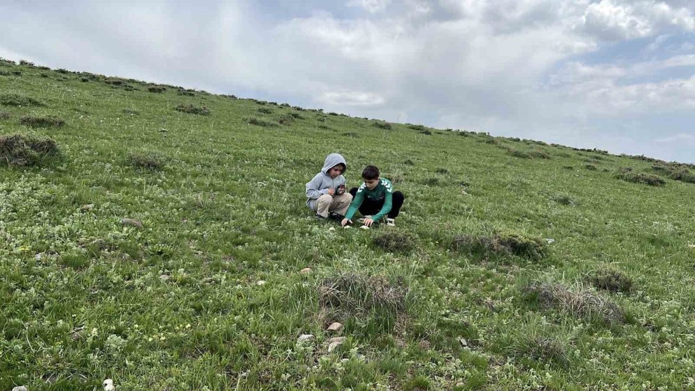 Arpaçay’da Mantar Bereketi.. Çocuklar Doğada Hem Eğlendi Hem Üretime Katıldı!