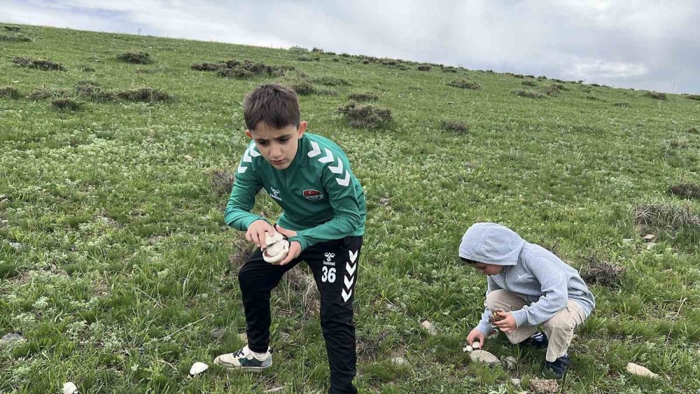 Arpaçay’da Mantar Bereketi.. Çocuklar Doğada Hem Eğlendi Hem Üretime Katıldı!