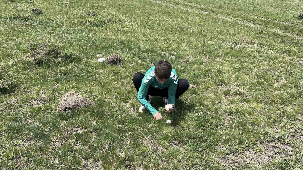 Arpaçay’da Mantar Bereketi.. Çocuklar Doğada Hem Eğlendi Hem Üretime Katıldı!
