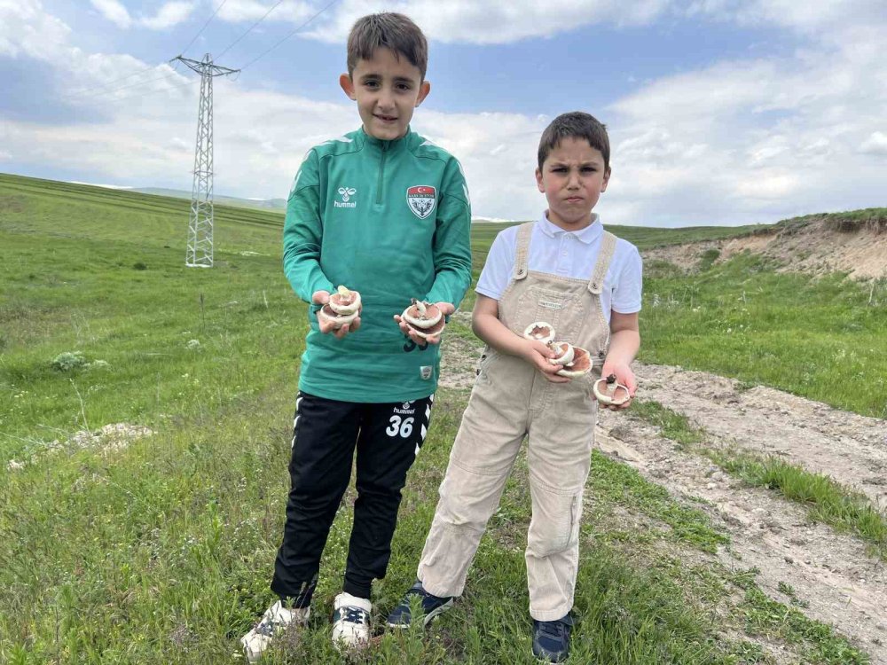 Arpaçay’da Mantar Bereketi.. Çocuklar Doğada Hem Eğlendi Hem Üretime Katıldı!
