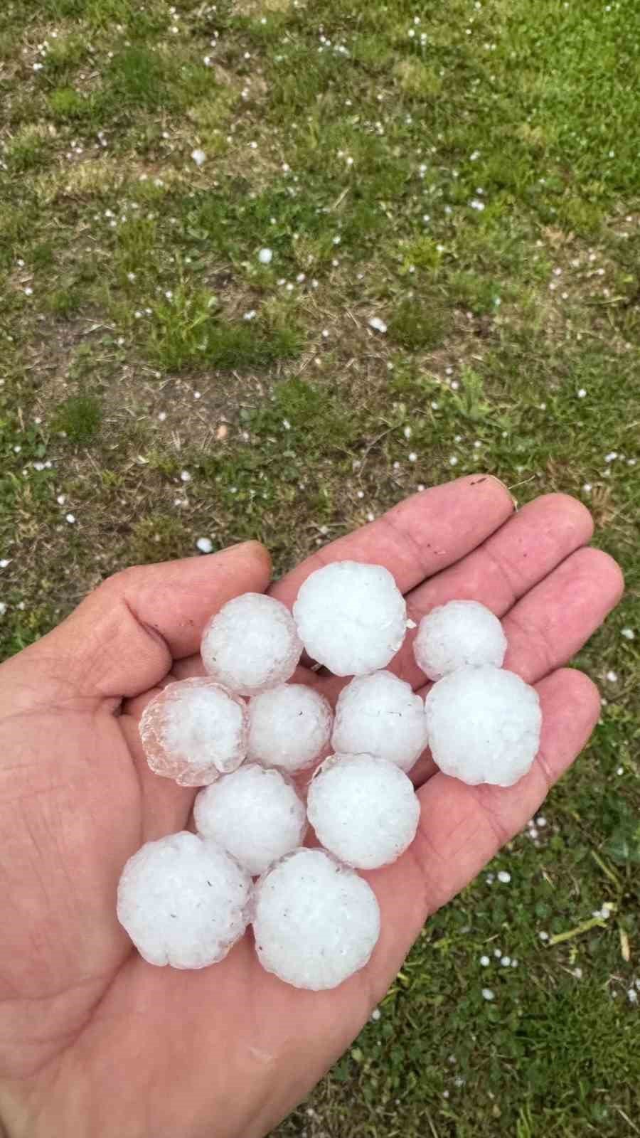 Sivas’ta Fındık Büyüklüğünde Dolu Yağdı, Ağaçlar Çiçek Döktü