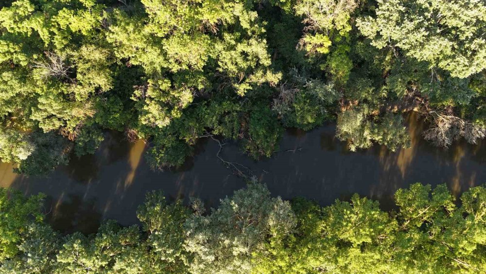 4 Gündür Haber Alınamıyordu.. Tunca Nehri’nde Bulunan Cesetlerin Kimlikleri Belirlendi!