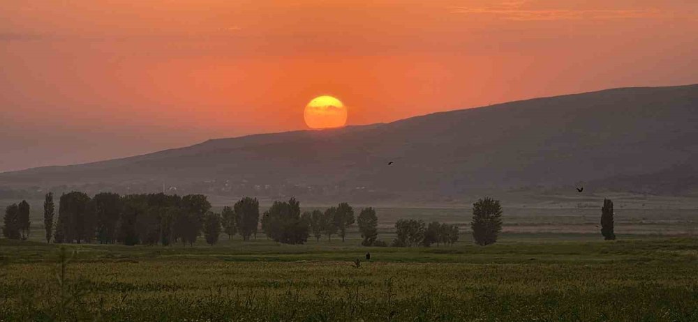 Van, Tatvan ve Güroymak'ta Görsel Şölen.. Doğa Tutkunları Bu Manzaralara Hayran Kaldı!