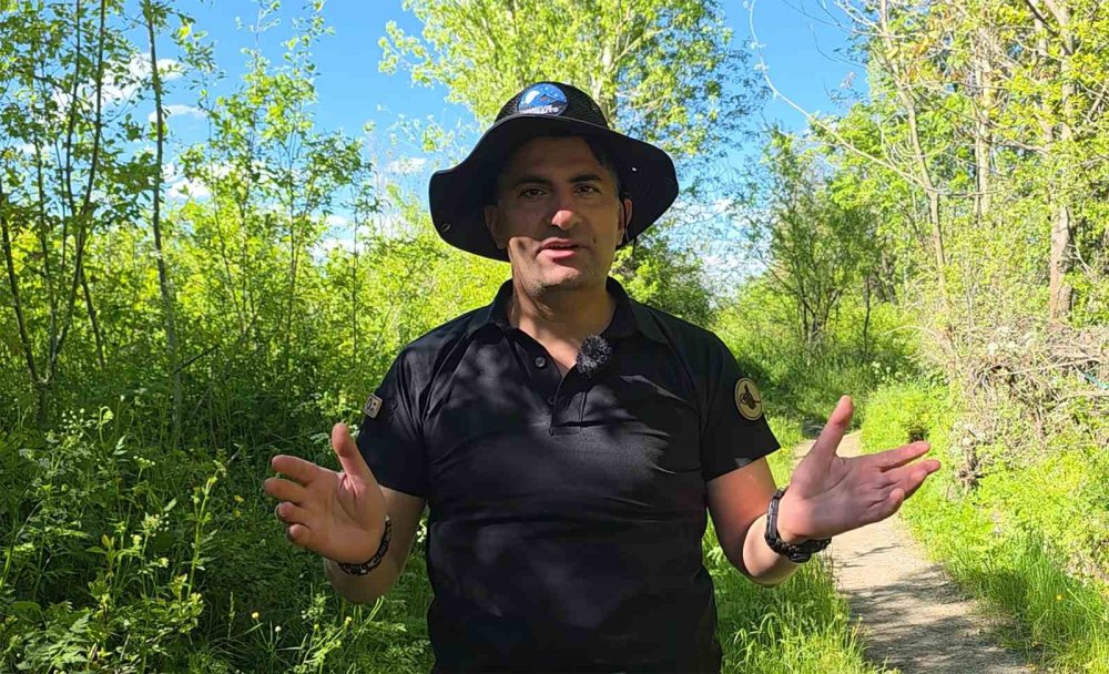 Van Gölü’nün Kıyısındaki Turizm Cenneti: İ̇ncekaya Köyü