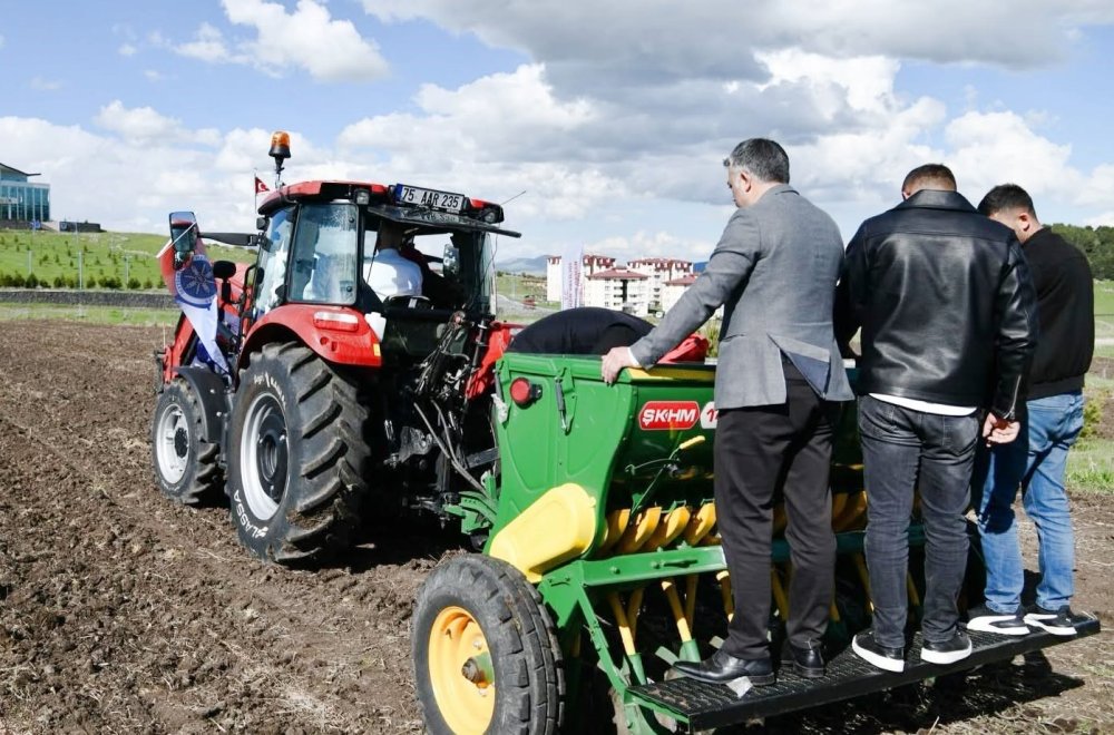 Ardahan Üniversitesi'nde Bir İlk.. Kampüste Mercimek ve Nohut Üretimi Başladı!